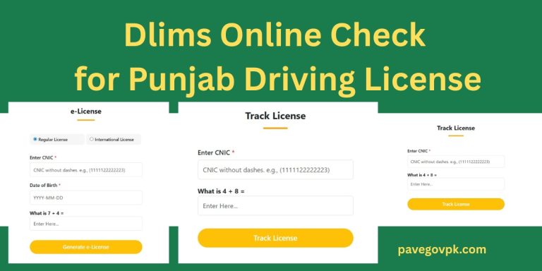 Dlims Online Check for Punjab Driving License