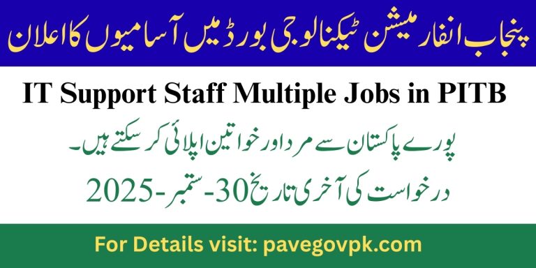 IT Support Staff Multiple Jobs in PITB 2025